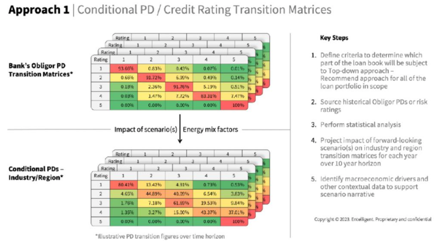 Climate Transition and Risk Management in Banks